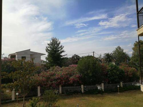 Photo of Others in Haniotis
