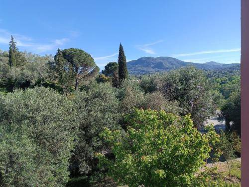Photo of Others in Corfu