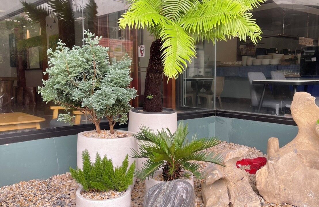 Photo of Outdoor in Thapae