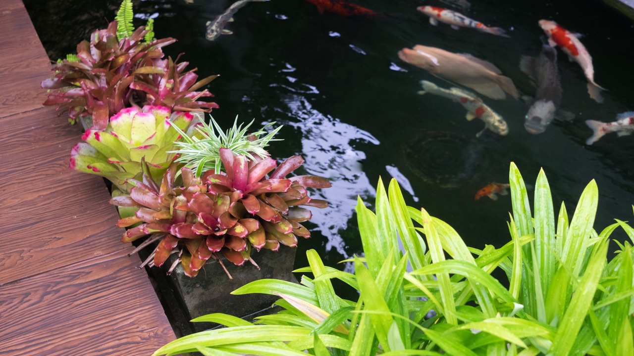 Photo of Outdoor in Downtown Krabi