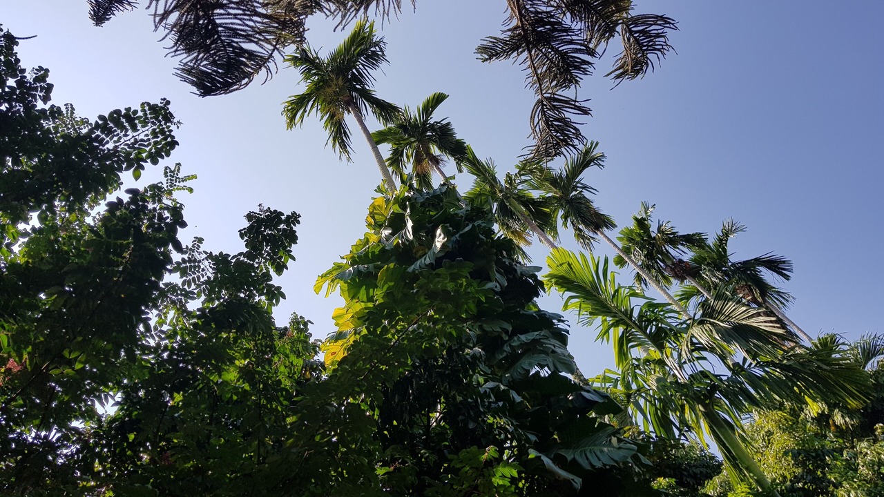 Photo of Outdoor in Chiang Mai