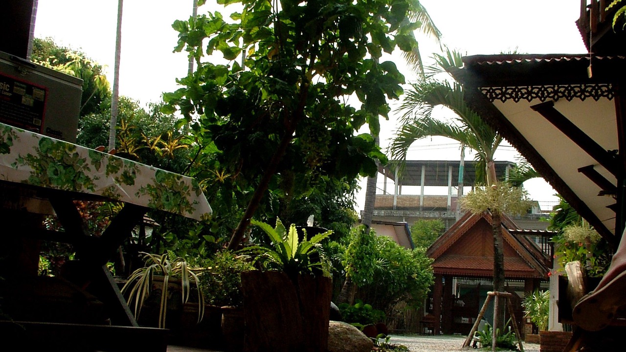 Photo of Outdoor in Chiang Mai