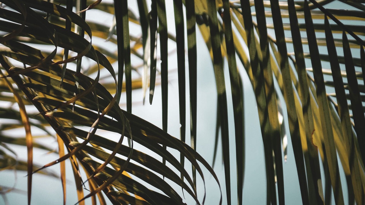 Photo of Outdoor in Ierapetra