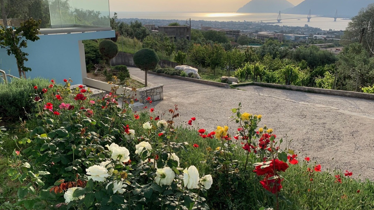 Photo of Outdoor in Rio