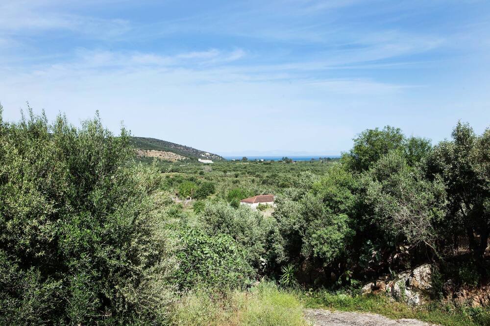 Photo of Outdoor in East Mani