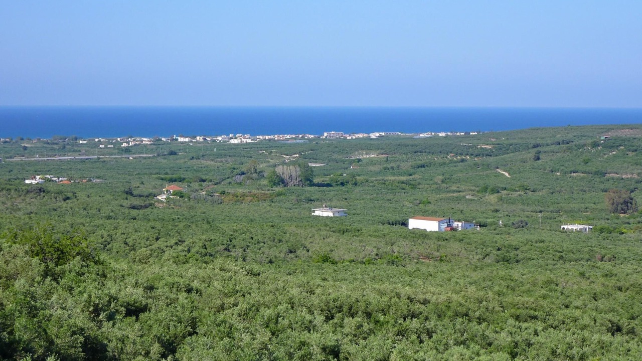 Photo of Others in Kamisiana