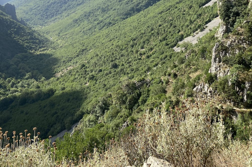 Photo of Outdoor in Aristi