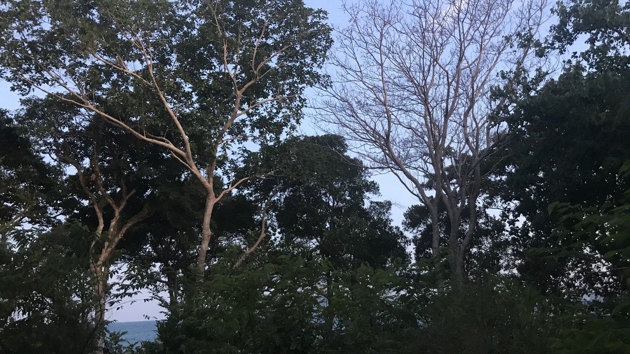 Photo of Outdoor in Koh Rong Sanloem