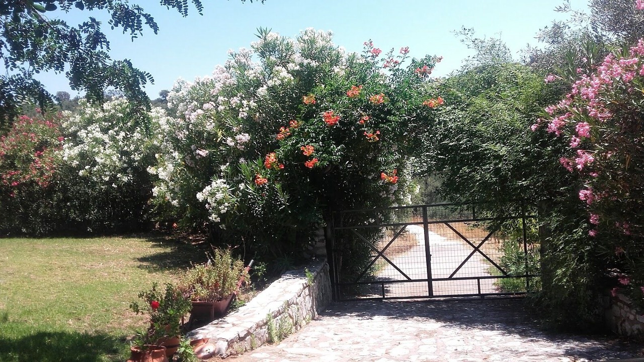 Photo of Outdoor in Karvelas