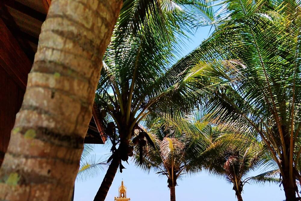 Photo of Outdoor in Ban Samphao