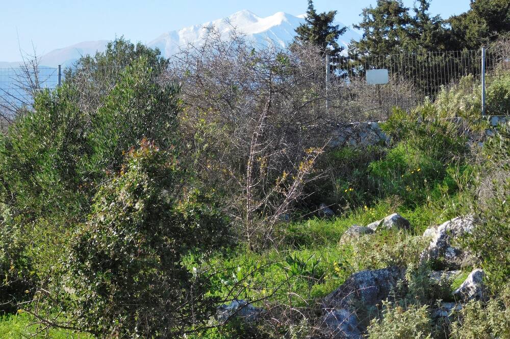 Photo of Others in Kefalas