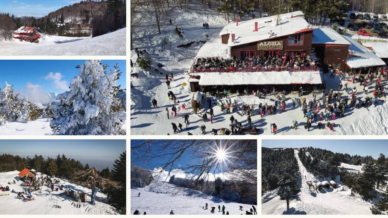 Photo of Outdoor in Elatochori