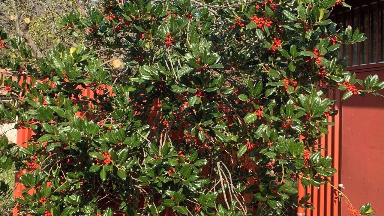 Photo of Outdoor in Elatochori