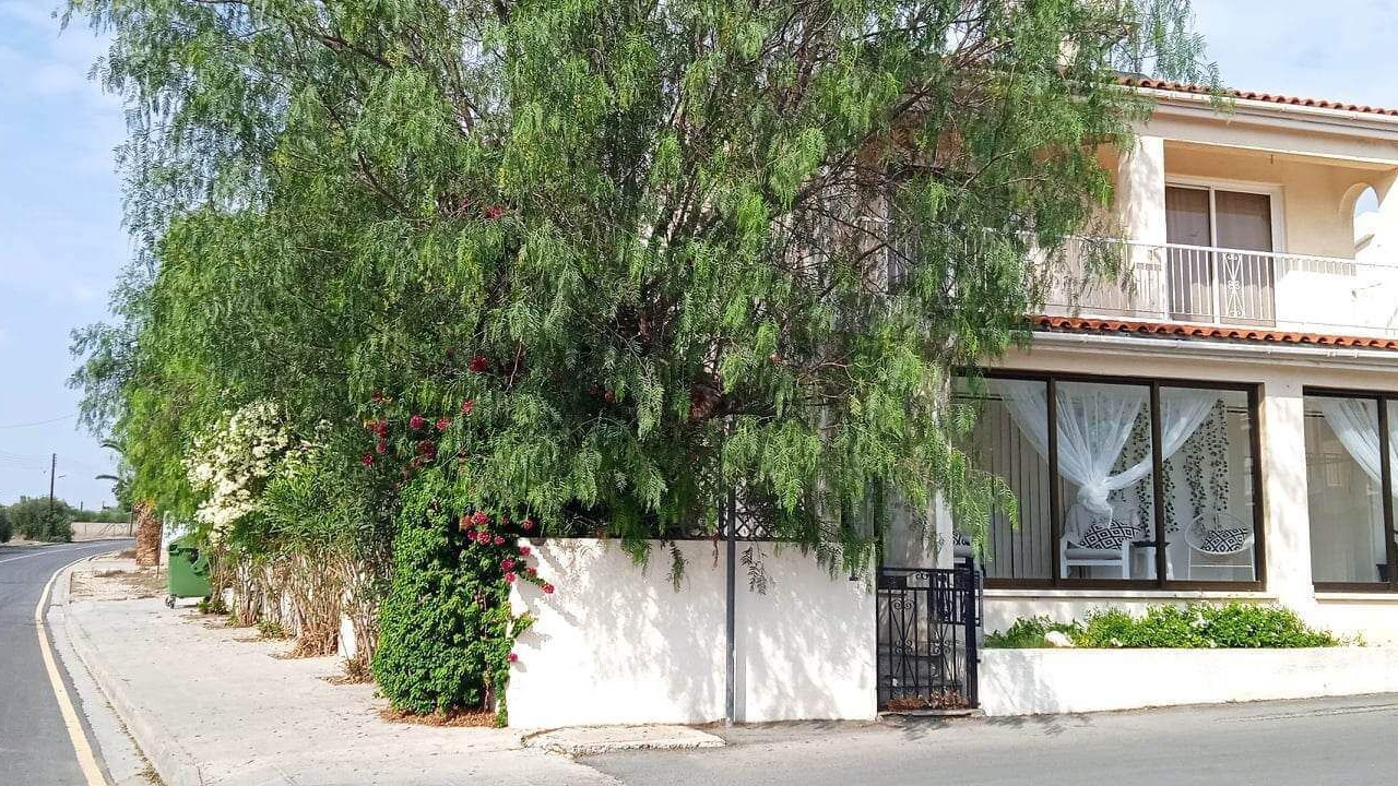Photo of Outdoor in Mazotos