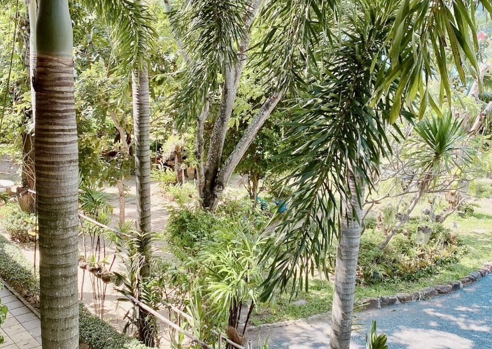 Photo of Outdoor in Lamai City Center