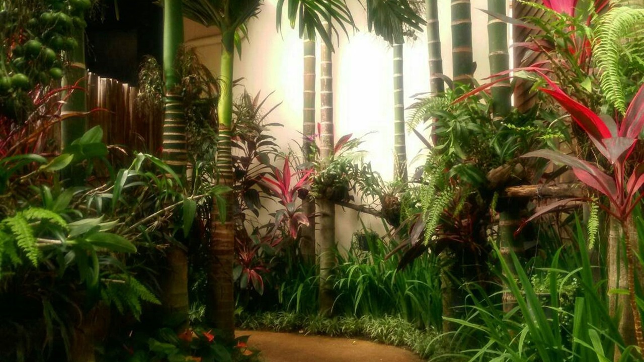 Photo of Others in Thapae