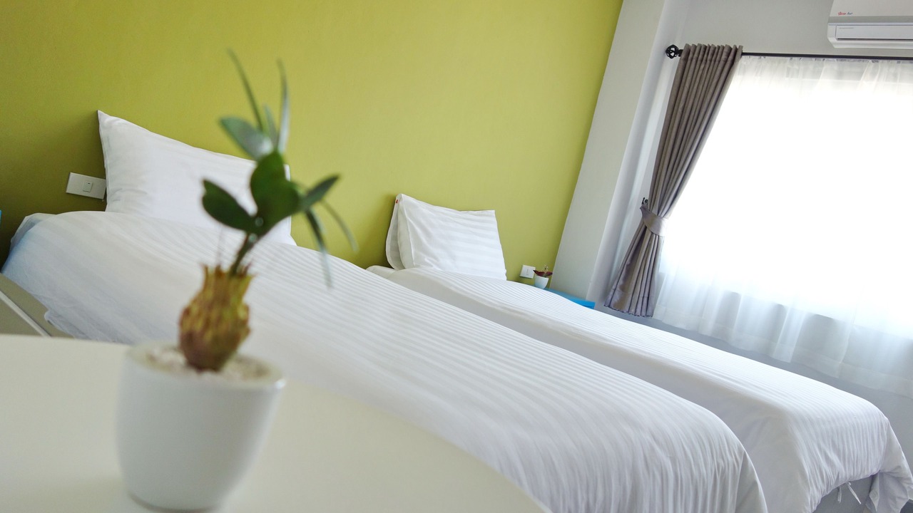 Photo of Bedroom in Kata