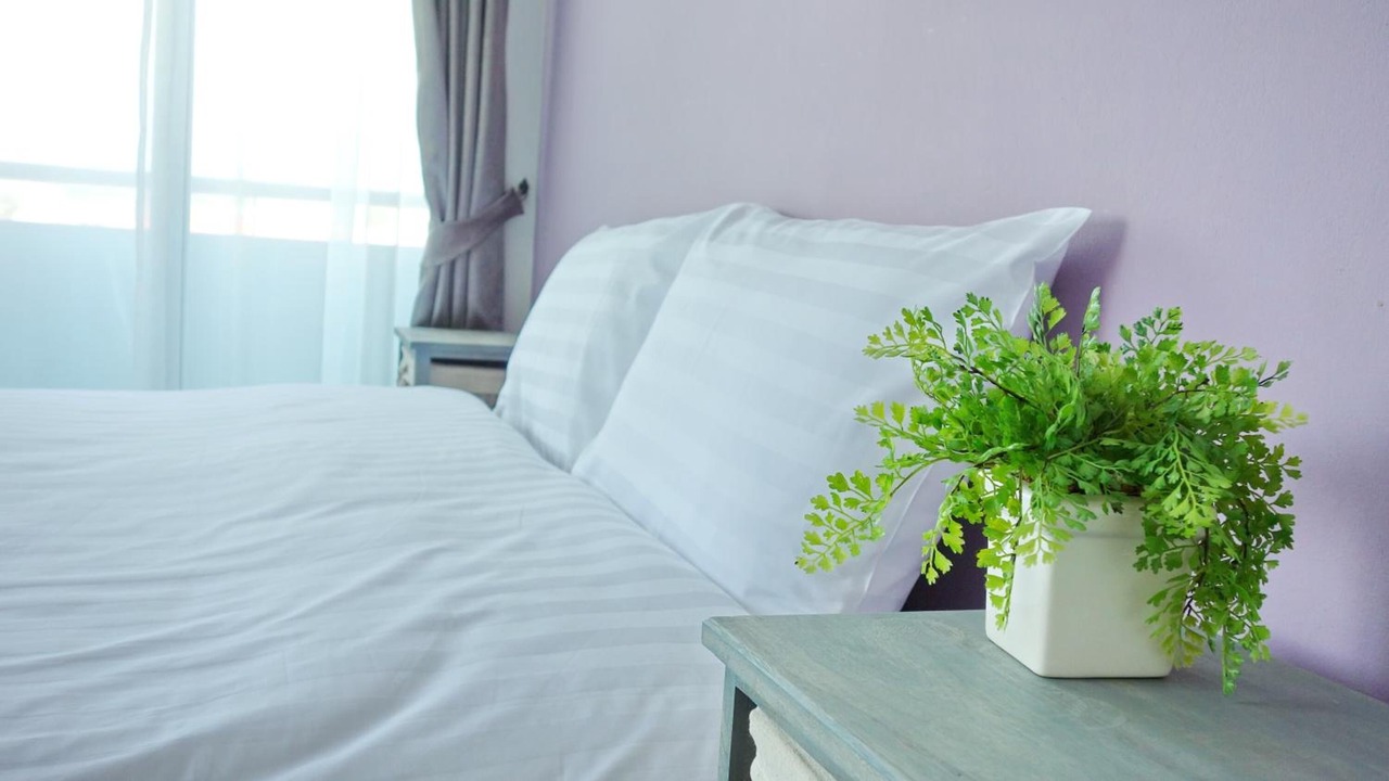 Photo of Bedroom in Kata