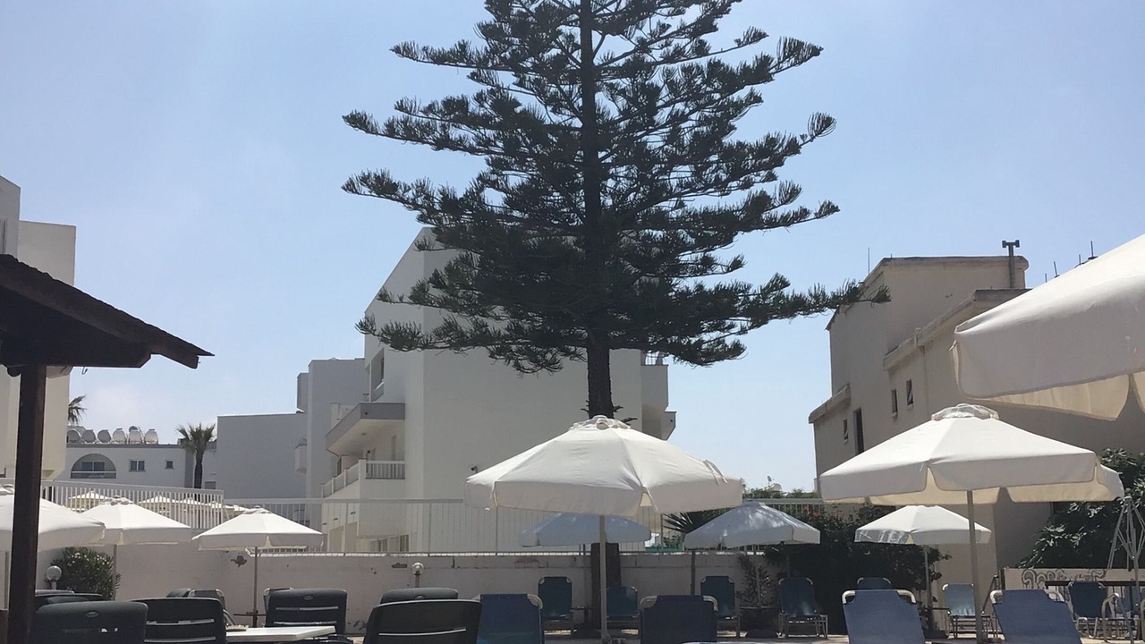 Photo of Outdoor in Ayia Napa