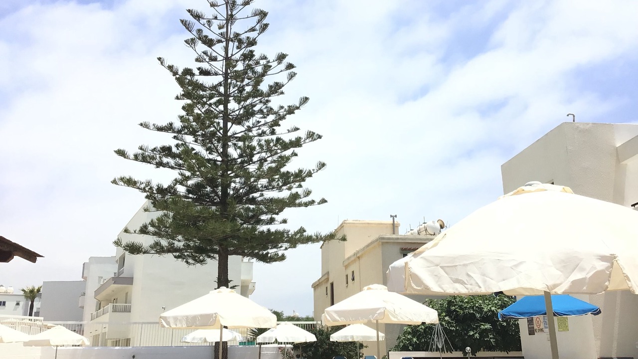 Photo of Outdoor in Ayia Napa