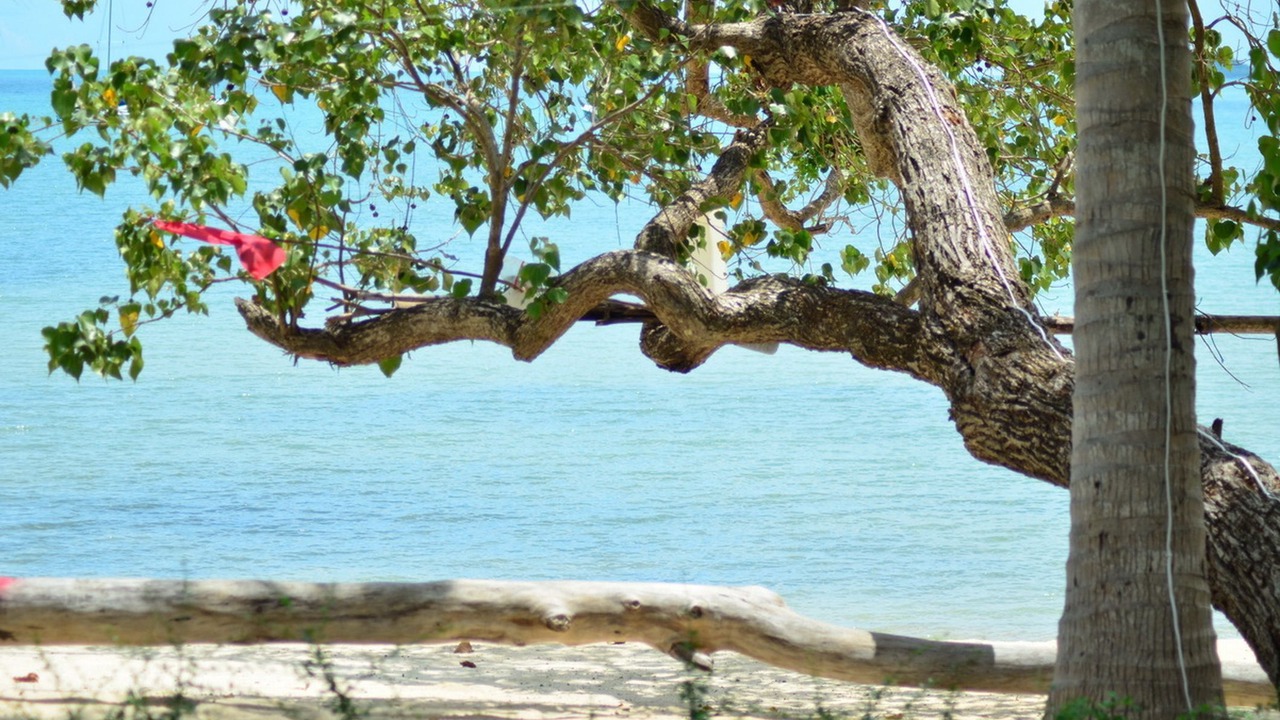 Photo of Others in Lipa Noi
