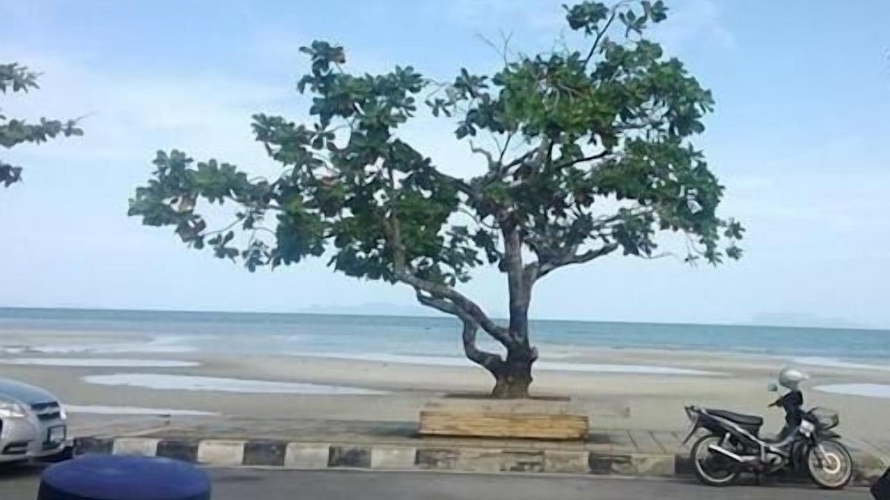 Photo of Outdoor in Na Thon