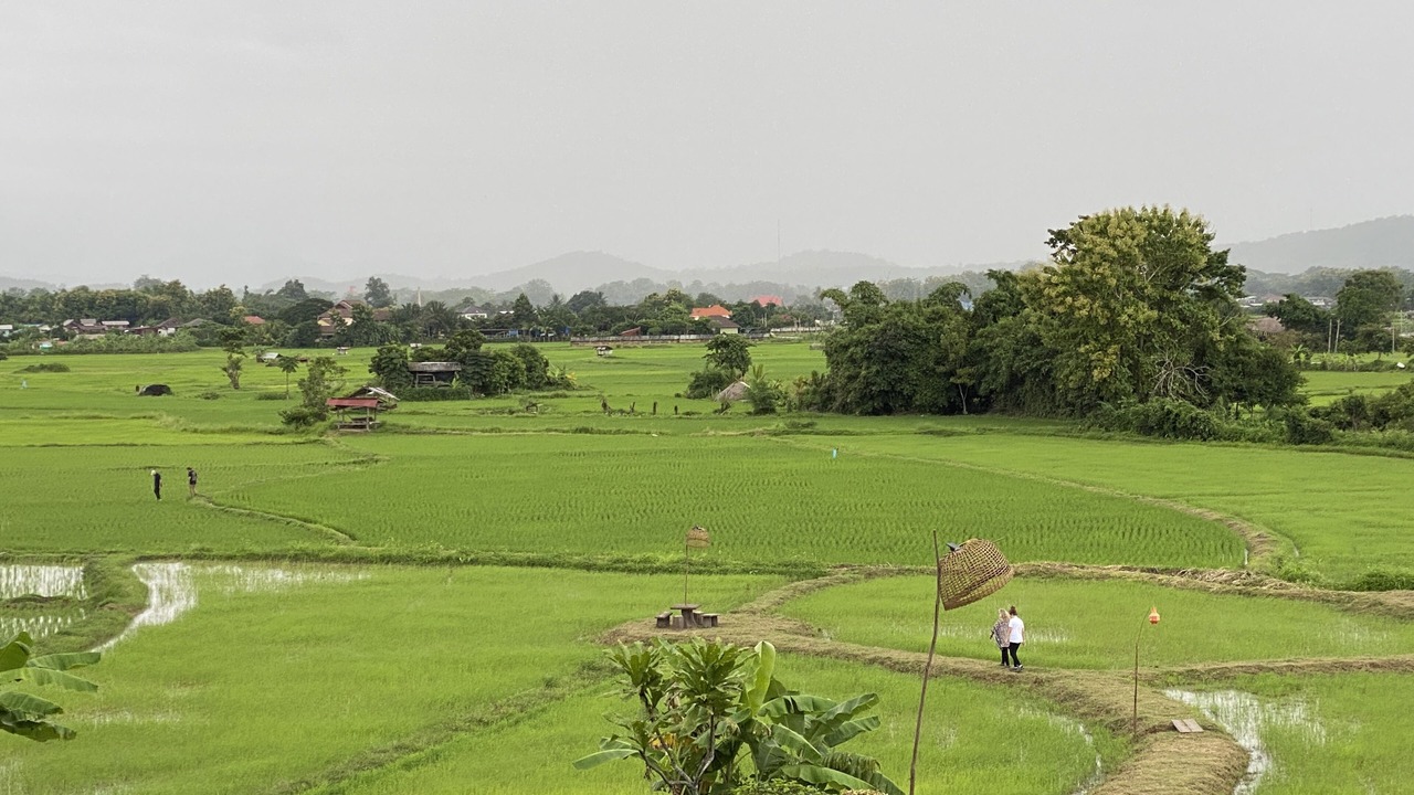 Photo of Outdoor in K. Phu Pieng