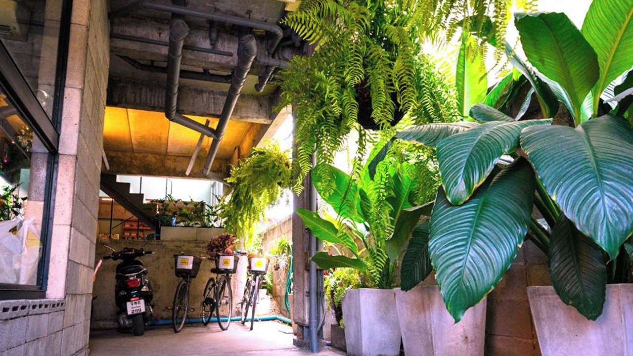 Photo of Outdoor in Chang Phueak