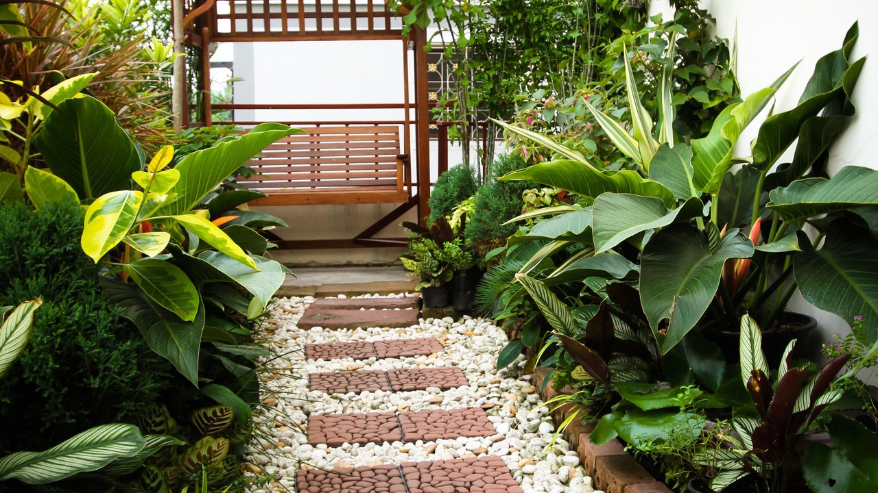 Photo of Outdoor in Nong Bon