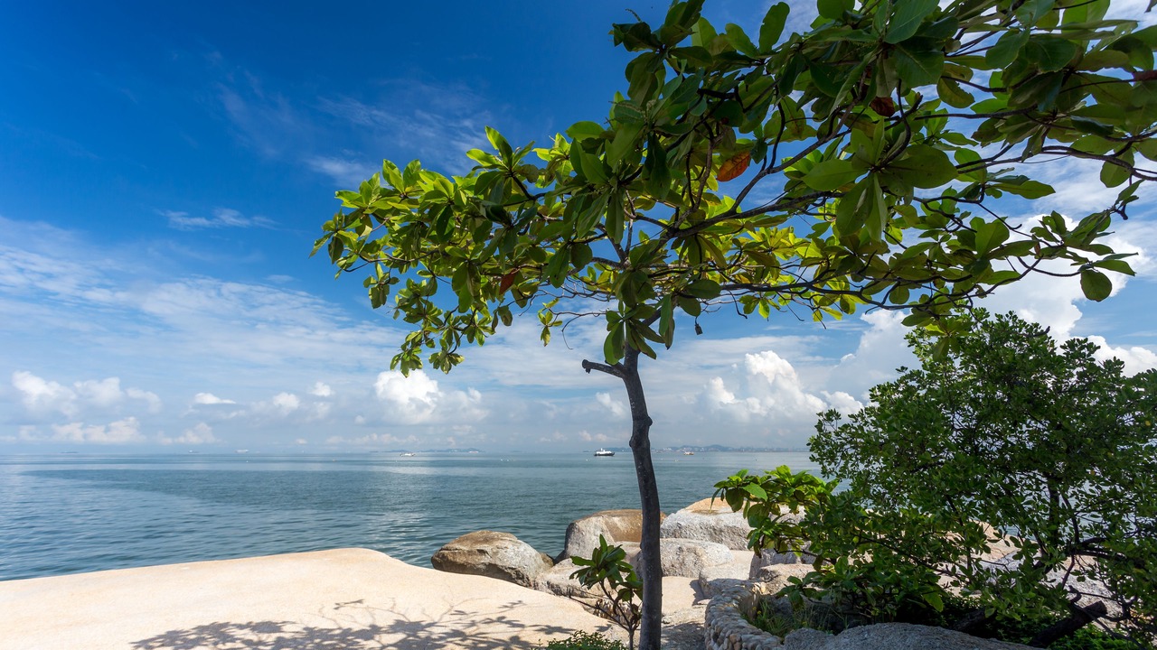 Photo of Others in North Pattaya