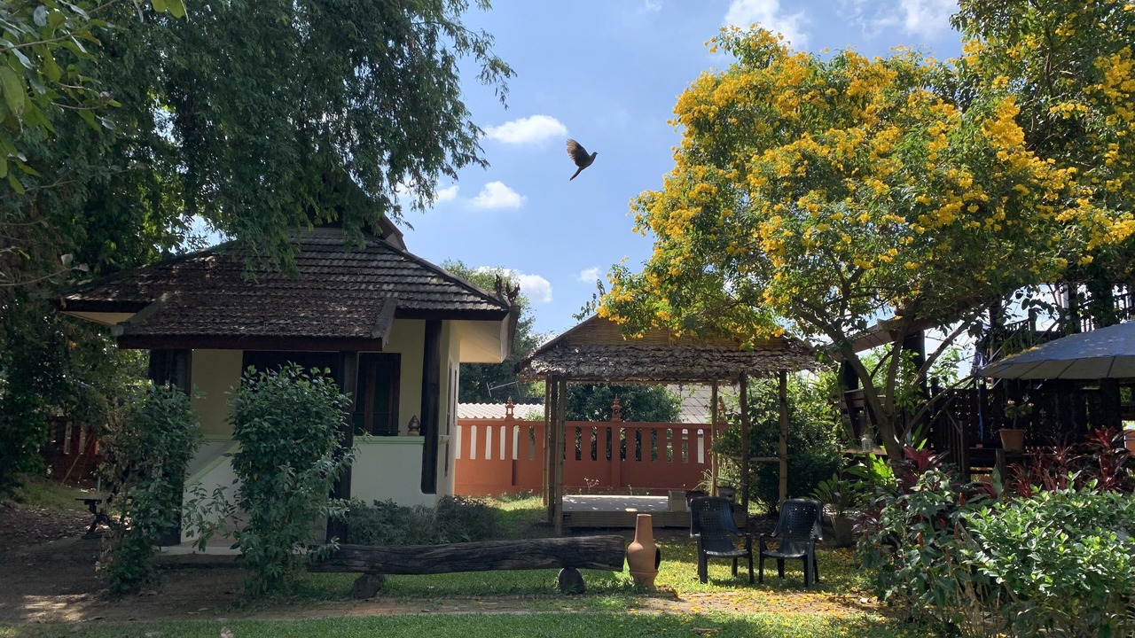 Photo of Outdoor in Chiang Mai