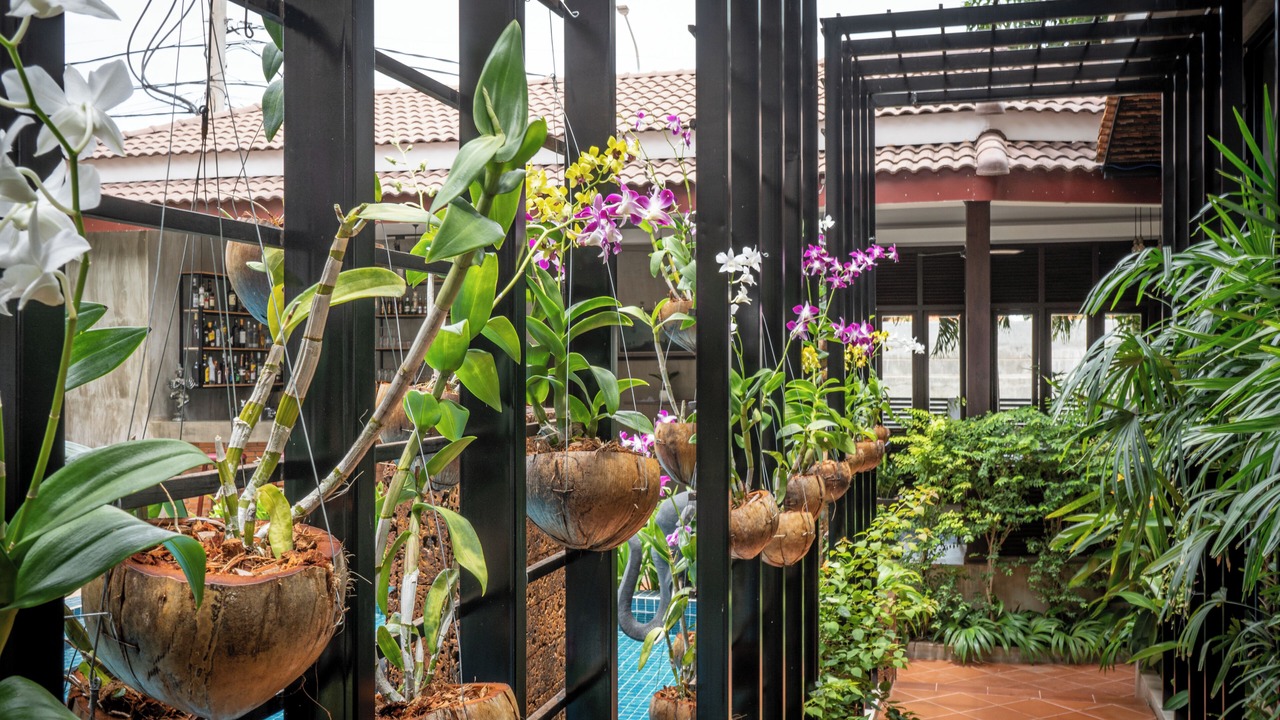 Photo of Outdoor in Siem Reap