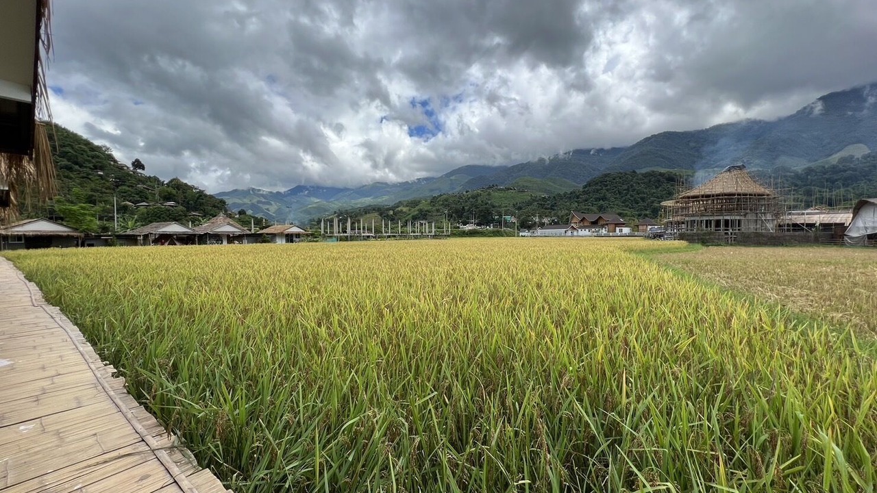 Photo of Outdoor in Bo Kluea