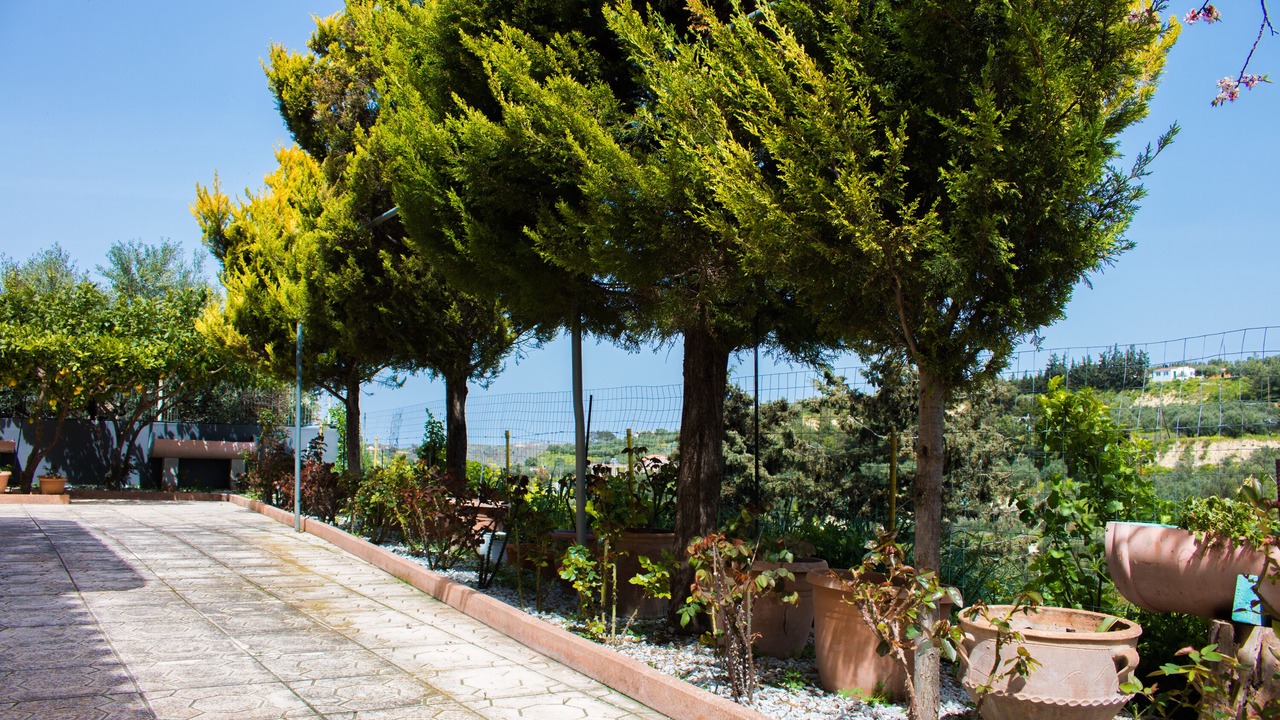 Photo of Outdoor in Episkopi