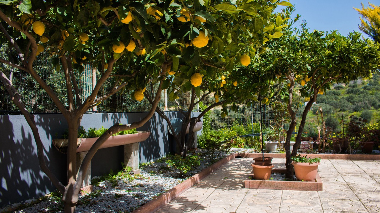 Photo of Outdoor in Episkopi