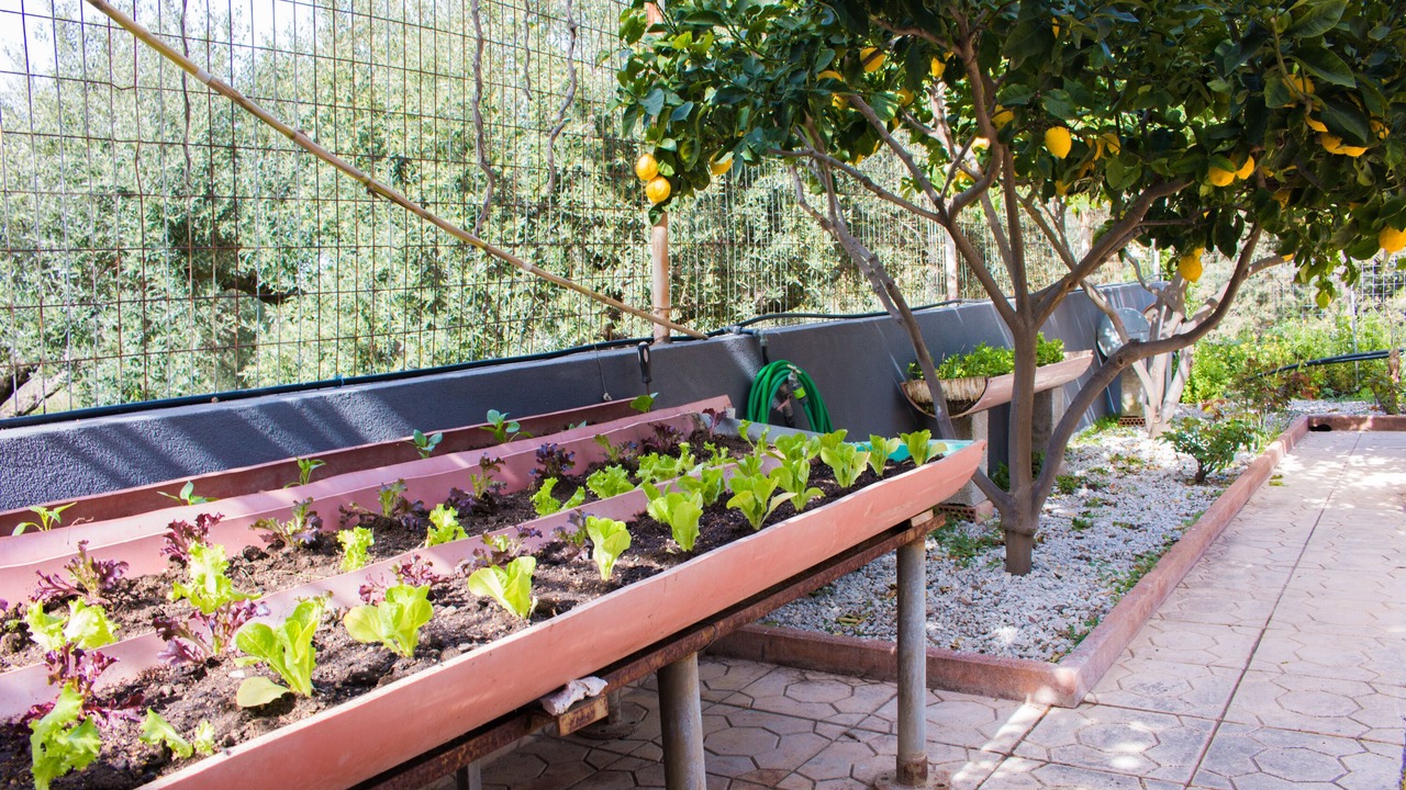 Photo of Outdoor in Episkopi