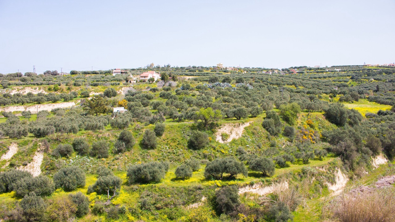 Photo of Others in Episkopi