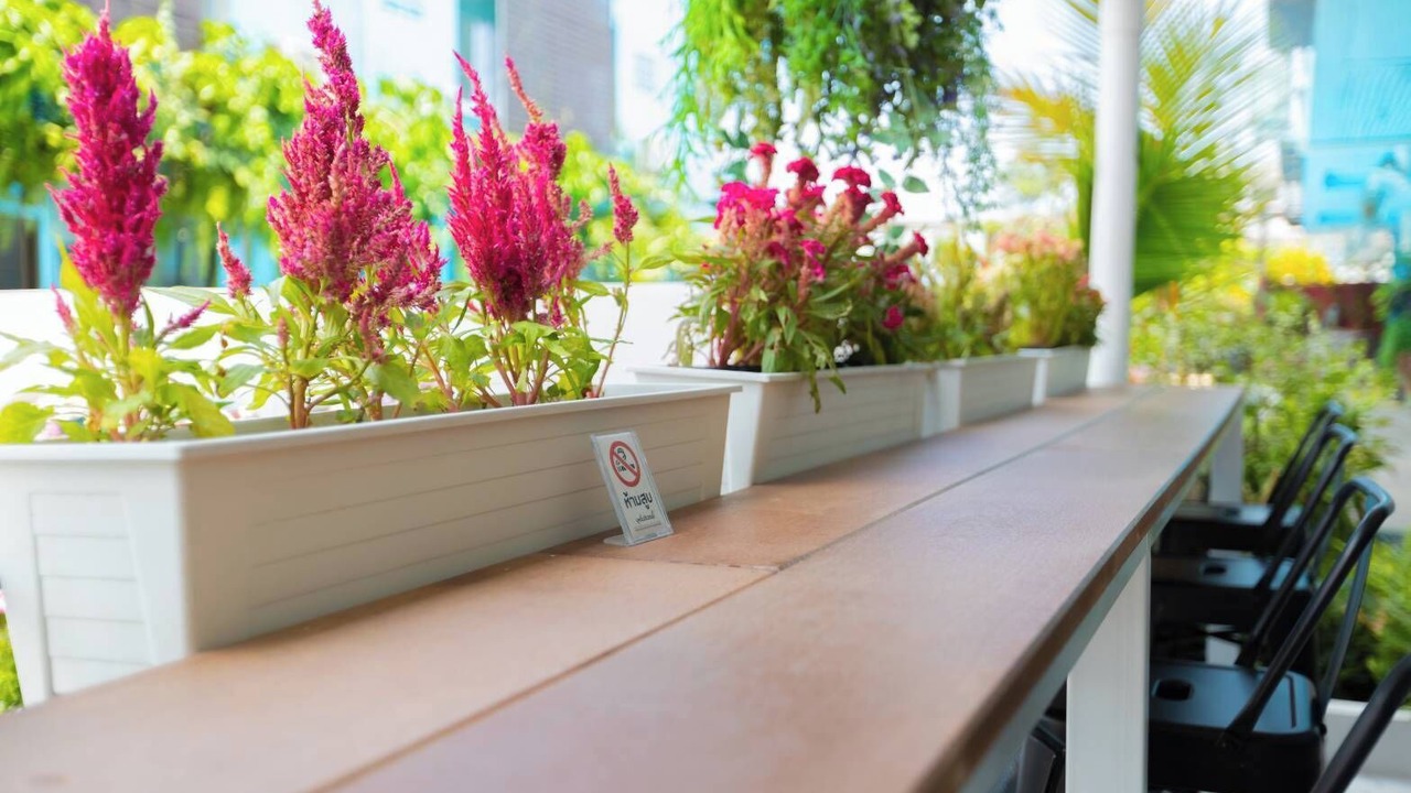 Photo of Outdoor in Bang Phli