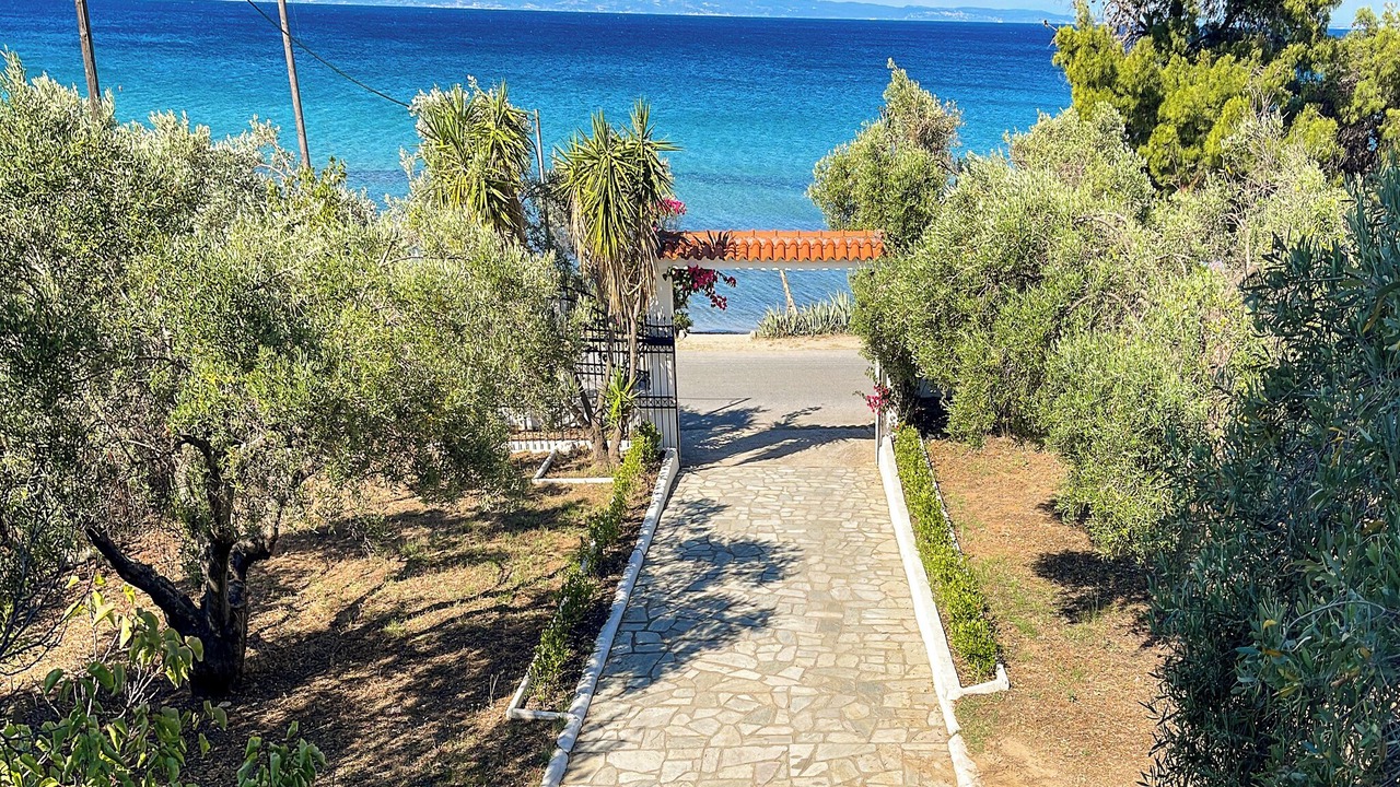 Photo of Others in Elia Nikitis