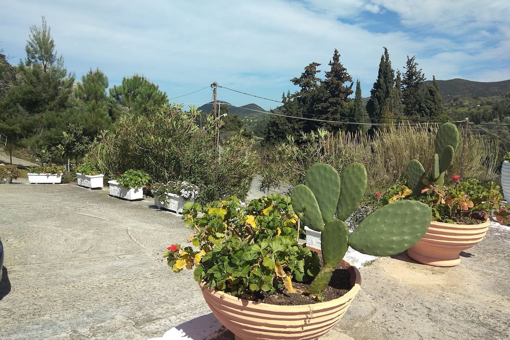 Photo of Outdoor in Sipiada