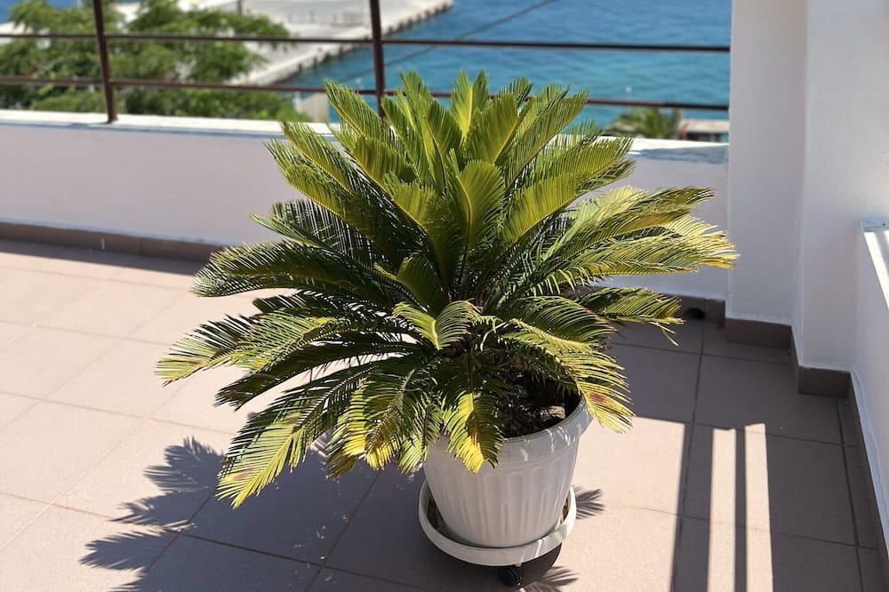 Photo of Outdoor in Adamas