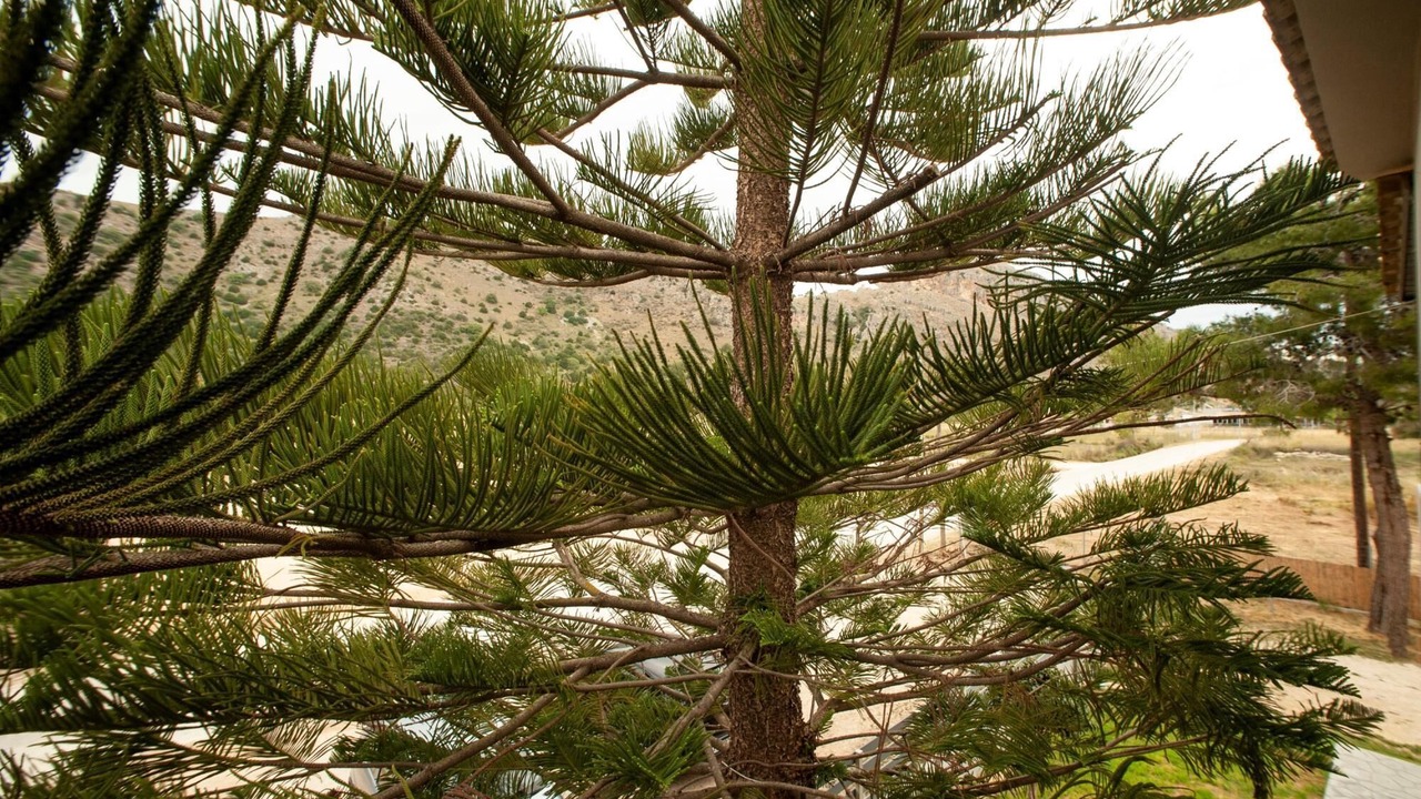 Photo of Others in Kalogria