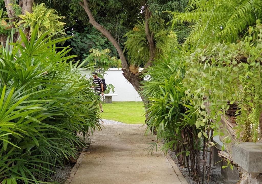 Photo of Outdoor in Chiang Rai