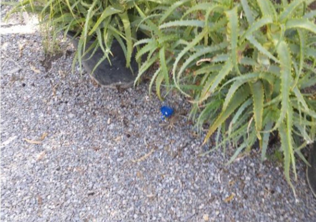 Photo of Outdoor in Karvelas
