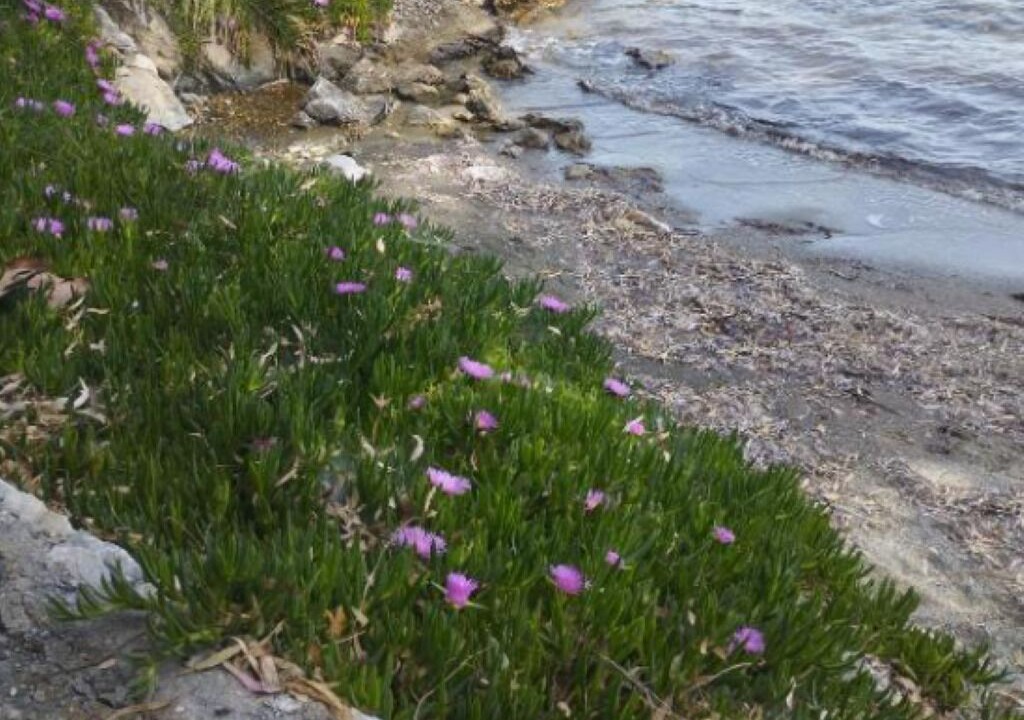 Photo of Outdoor in Karvelas