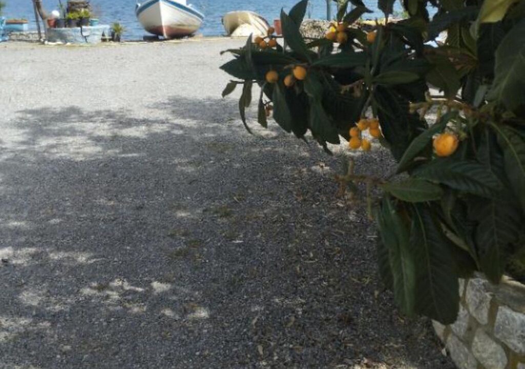 Photo of Outdoor in Karvelas