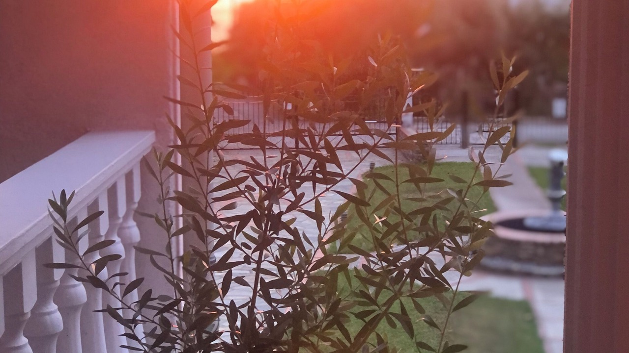 Photo of Outdoor in Litochoro