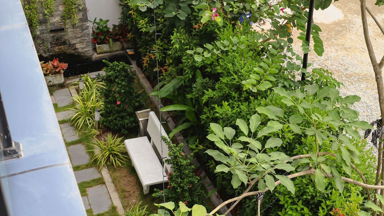 Photo of Outdoor in Dangkao