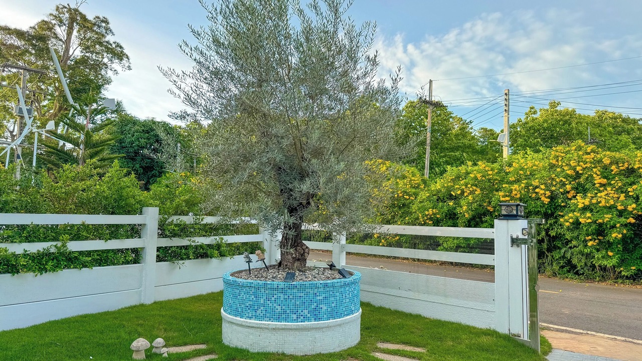 Photo of Patio Balcony in Pong Ta Long