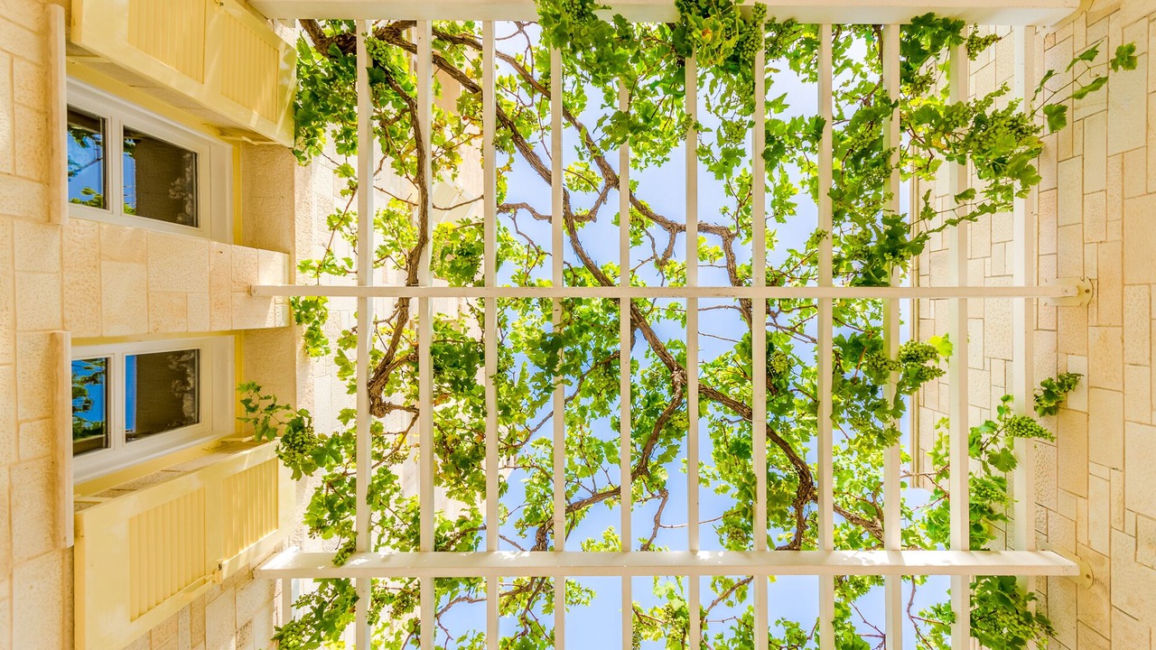 Photo of Outdoor in Heraklion